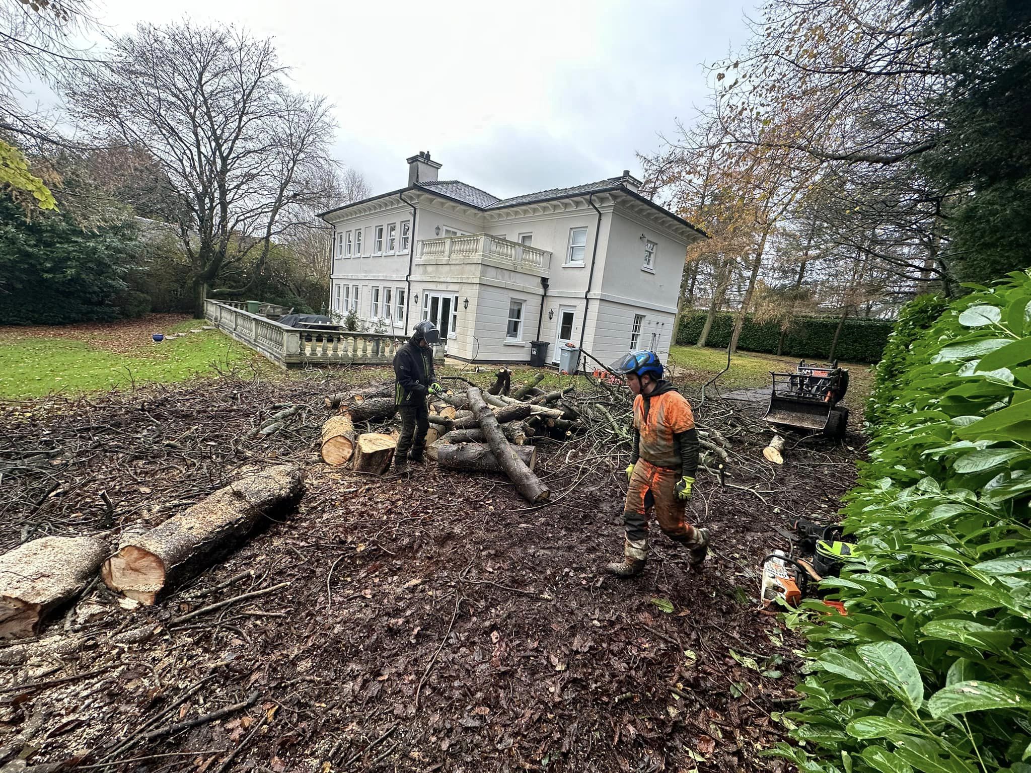 tree surgeon