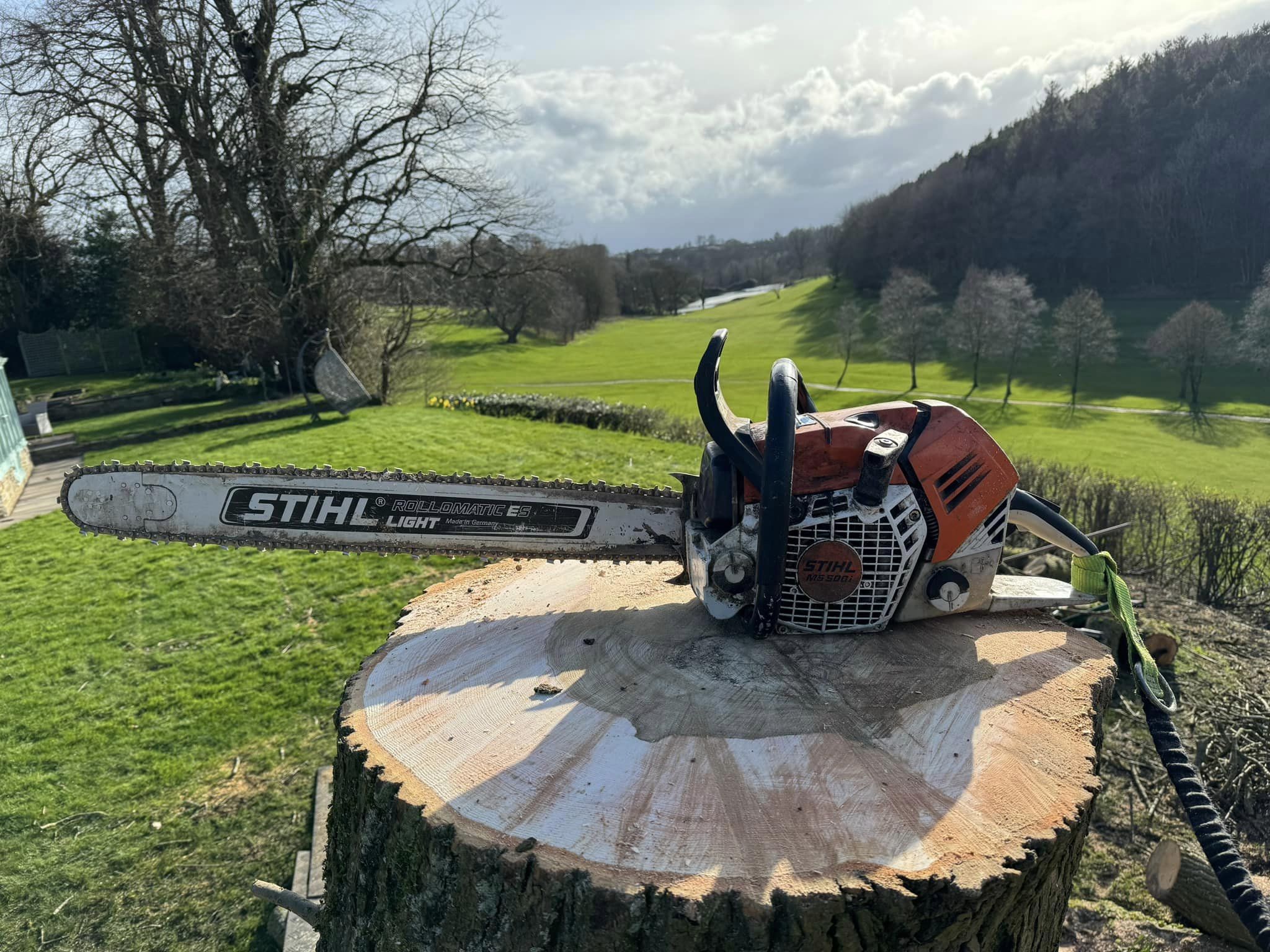 tree surgery tree surgery