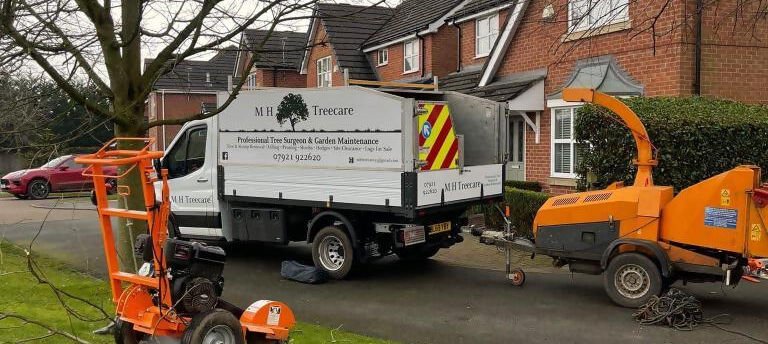 tree surgeon