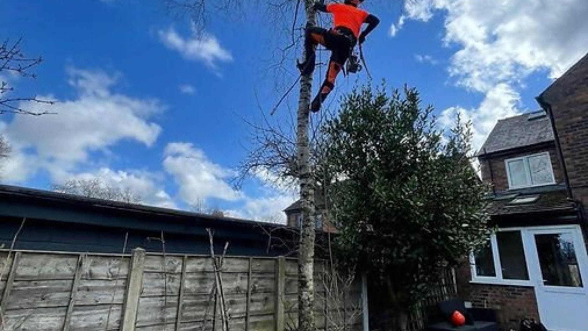 How Does Regular Hedge Cutting Impact Your Garden’s Health?