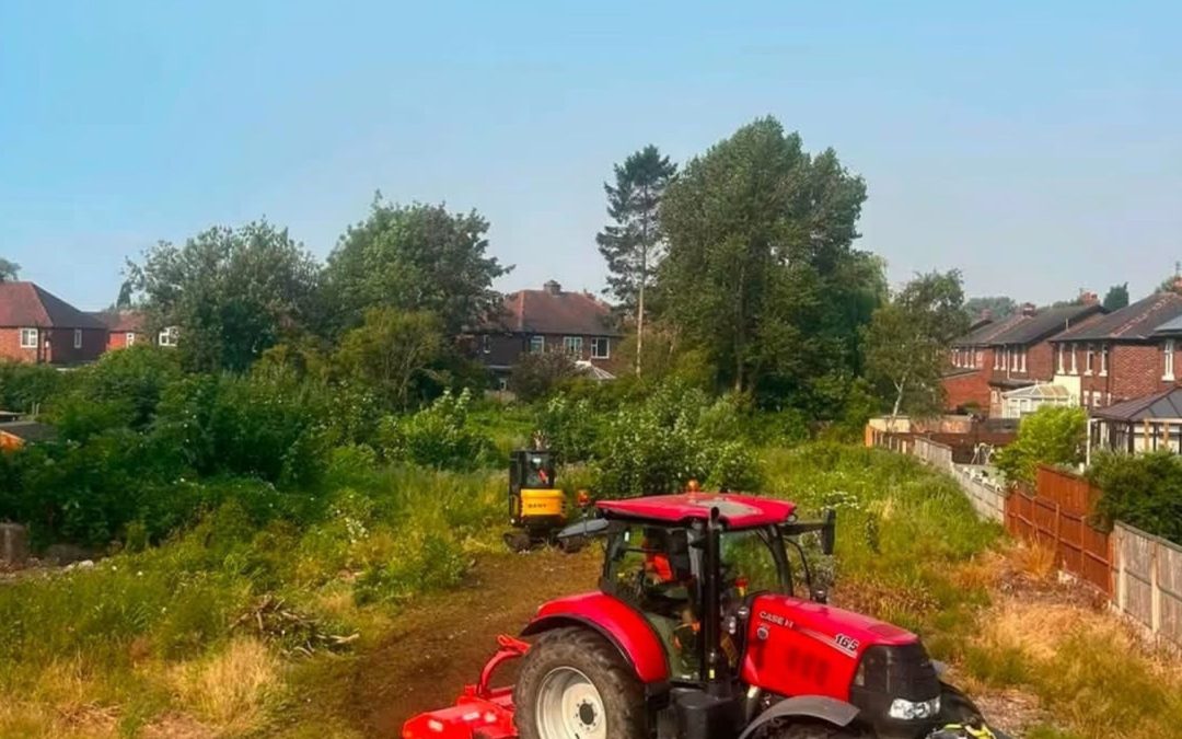 How Do Tree Surgeons Safely Remove Large Trees?